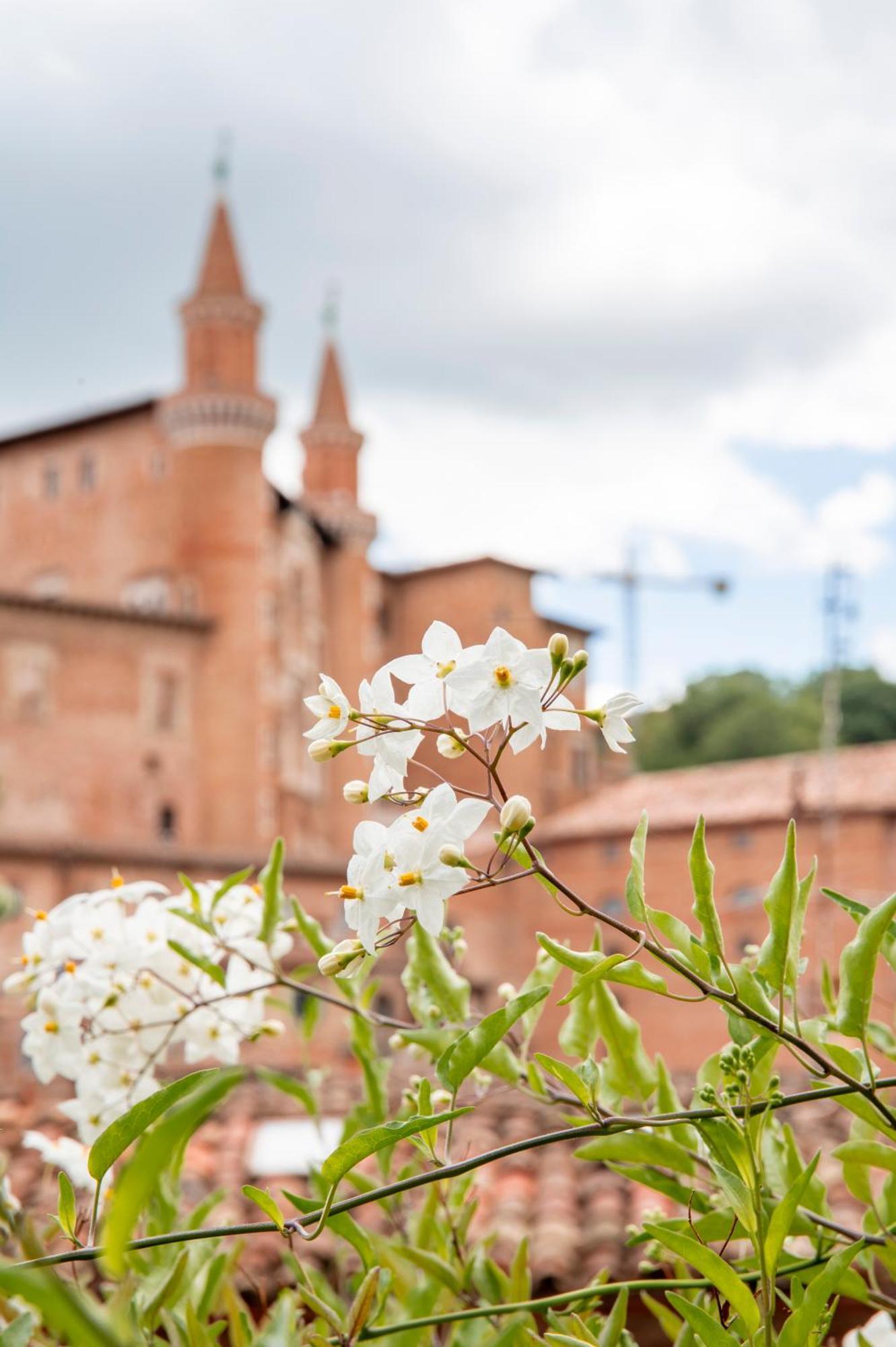 Urbino Apartment - Torricini View Екстериор снимка